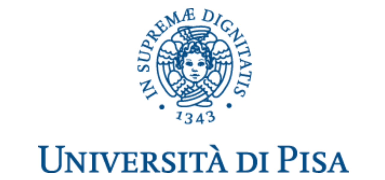 University of Pisa (UniPI)