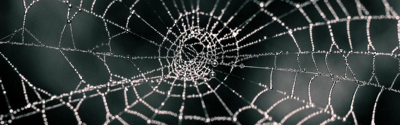 Hearing the universe in a spider/web